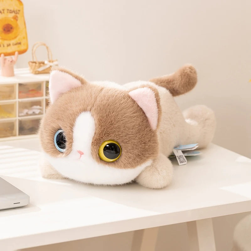 Gatito de Peluche de Ojos Grandes · Ragdoll