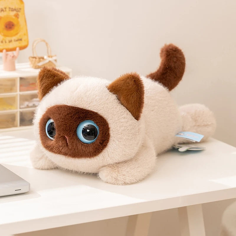 Gatito de Peluche de Ojos Grandes · Siamés
