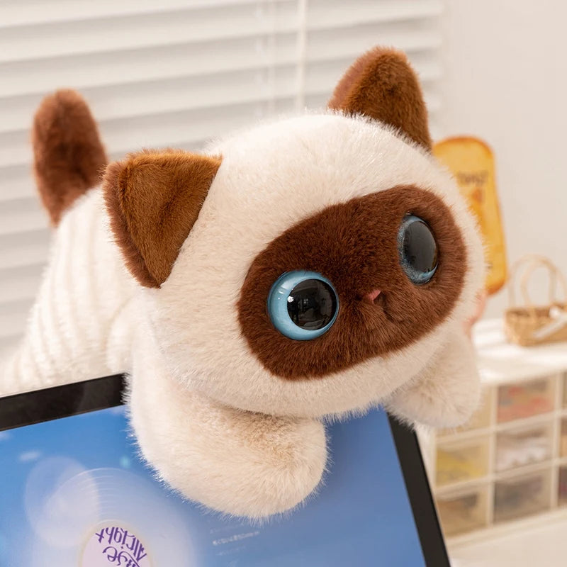Gatito siamés de peluche de ojos azules